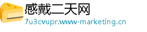 感戴二天网